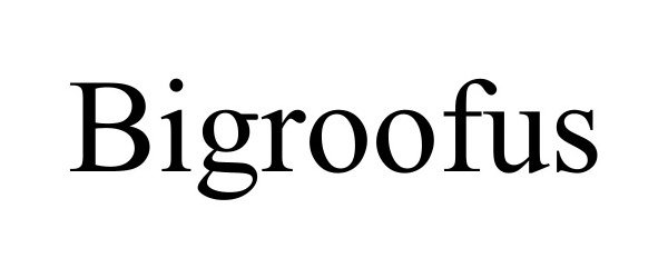 Trademark Logo BIGROOFUS