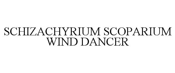  SCHIZACHYRIUM SCOPARIUM WIND DANCER