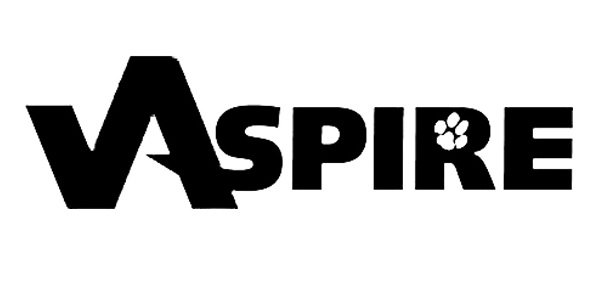 Trademark Logo ASPIRE