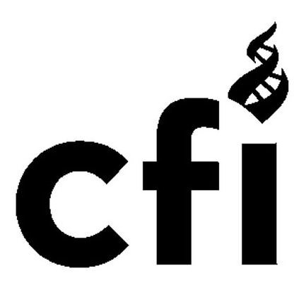  CFI