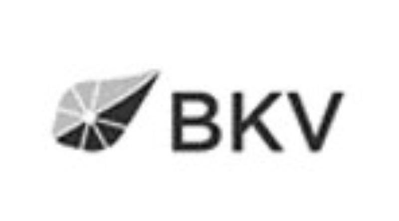 Trademark Logo BKV