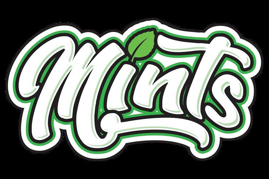  THE MARK CONSIST OF THE WORD MINTS WITH A MINT LEAF ABOVE THE LETTER I.