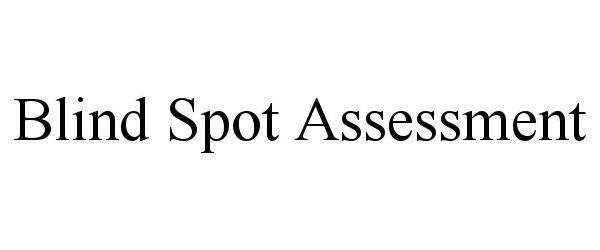 Trademark Logo BLIND SPOT ASSESSMENT