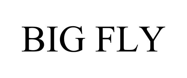 Trademark Logo BIG FLY