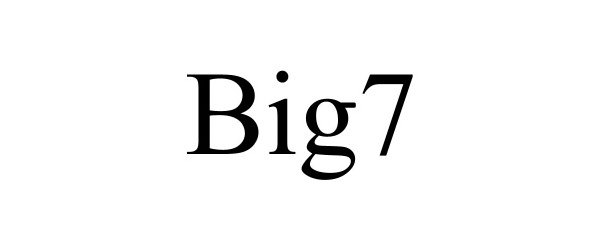  BIG7
