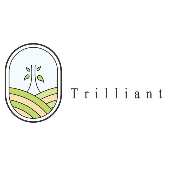 Trademark Logo TRILLIANT