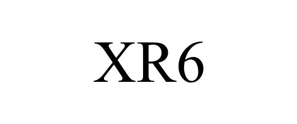 Trademark Logo XR6