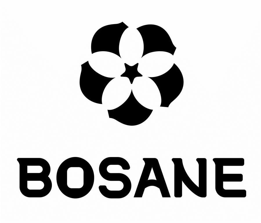  BOSANE