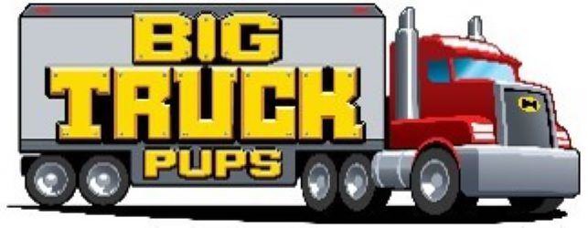 Trademark Logo BIG TRUCK PUPS