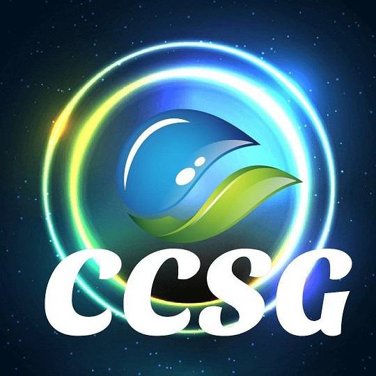  CCSG