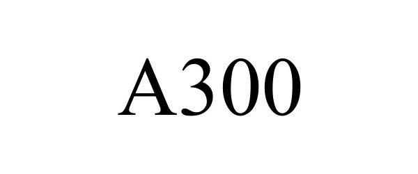 Trademark Logo A300