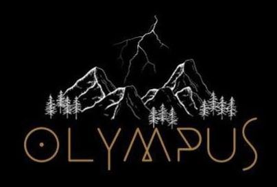 Trademark Logo OLYMPUS