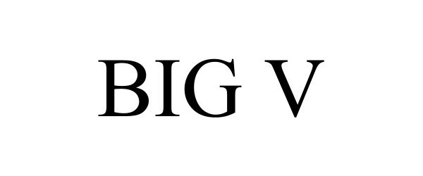 Trademark Logo BIG V