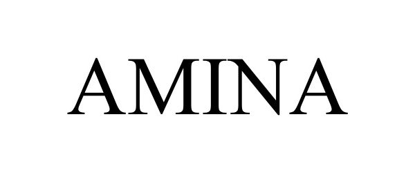 Trademark Logo AMINA