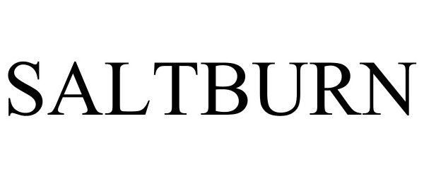 Trademark Logo SALTBURN