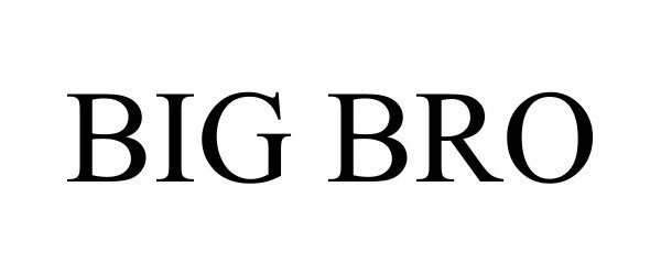 Trademark Logo BIG BRO