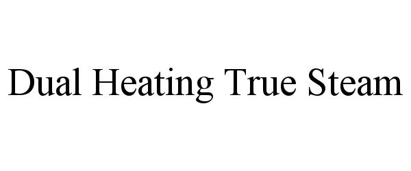 Trademark Logo DUAL HEATING TRUE STEAM