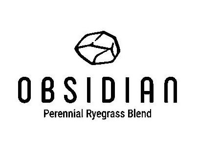 Trademark Logo OBSIDIAN PERENNIAL RYEGRASS BLEND