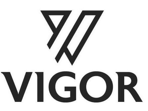 Trademark Logo V VIGOR