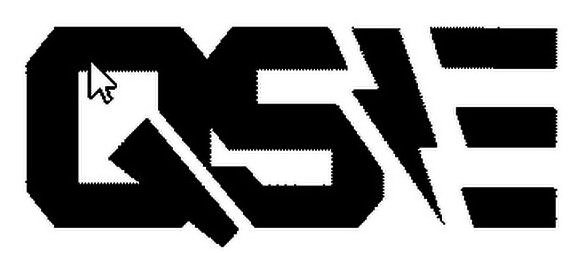 Trademark Logo QSE