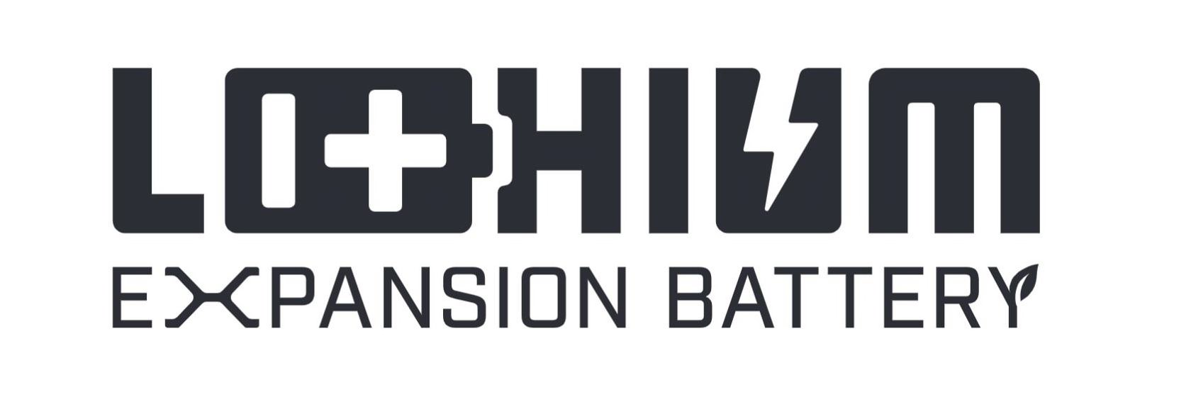  LITHIUM EXPANSION BATTERY