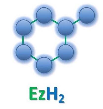 Trademark Logo EZH2