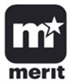  M MERIT