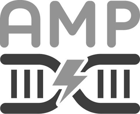 Trademark Logo AMP