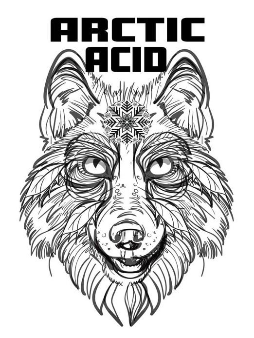 Trademark Logo ARCTIC ACID