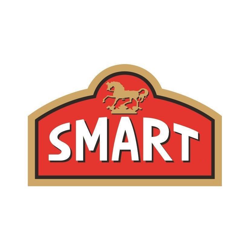 Trademark Logo SMART