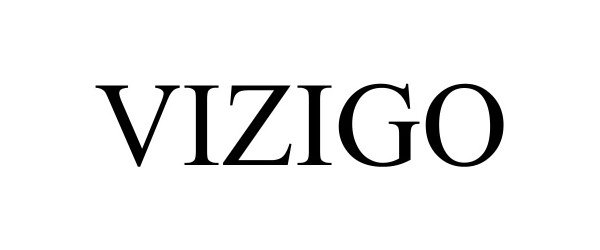 Trademark Logo VIZIGO
