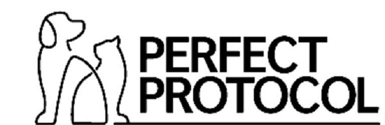 Trademark Logo PERFECT PROTOCOL