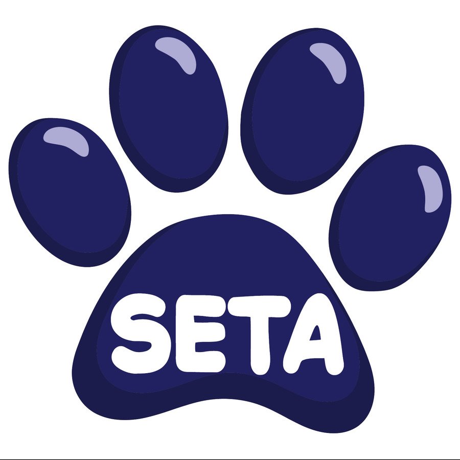 Trademark Logo SETA