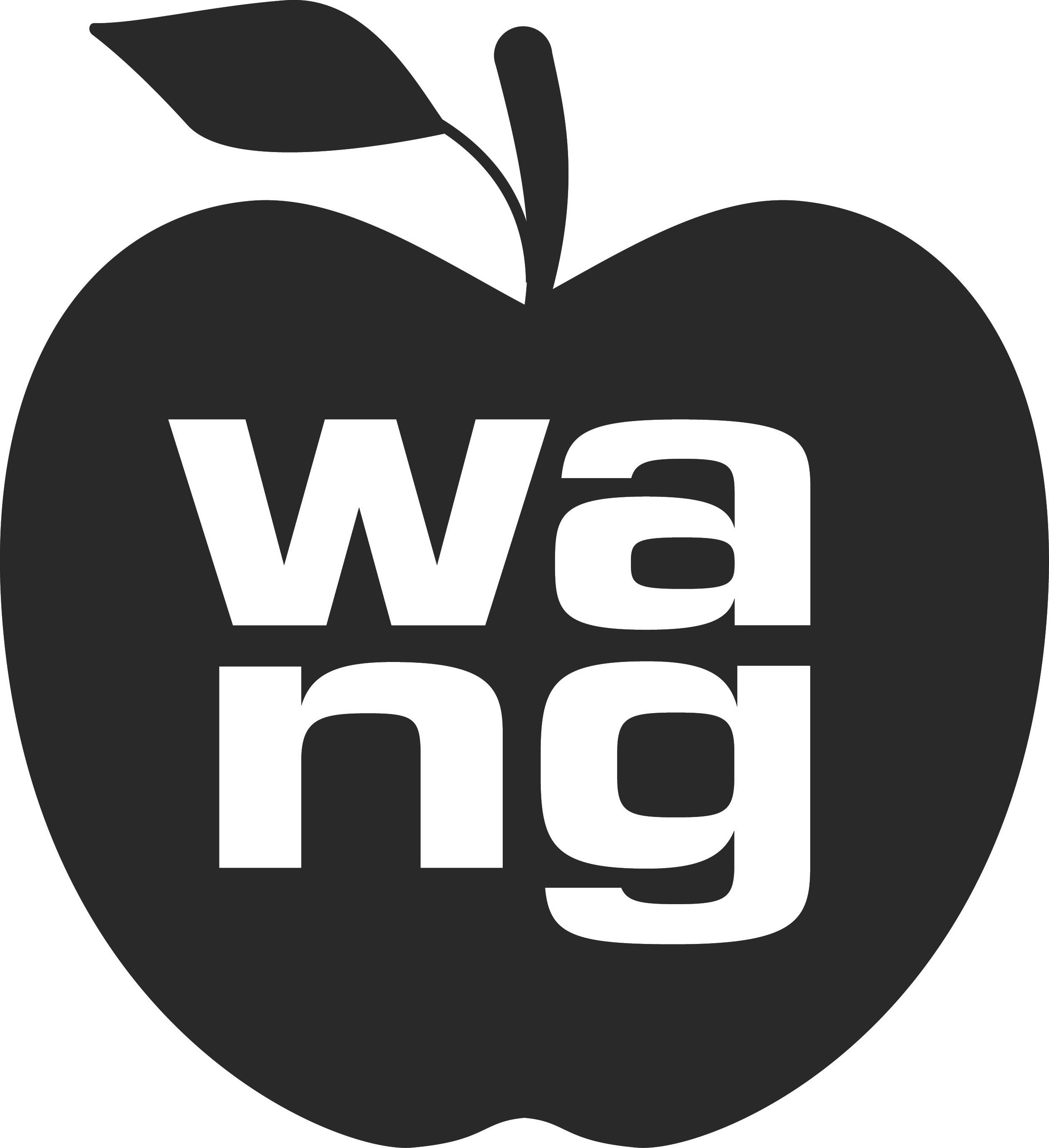 Trademark Logo WANG