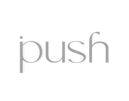 Trademark Logo PUSH