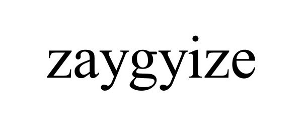 Trademark Logo ZAYGYIZE