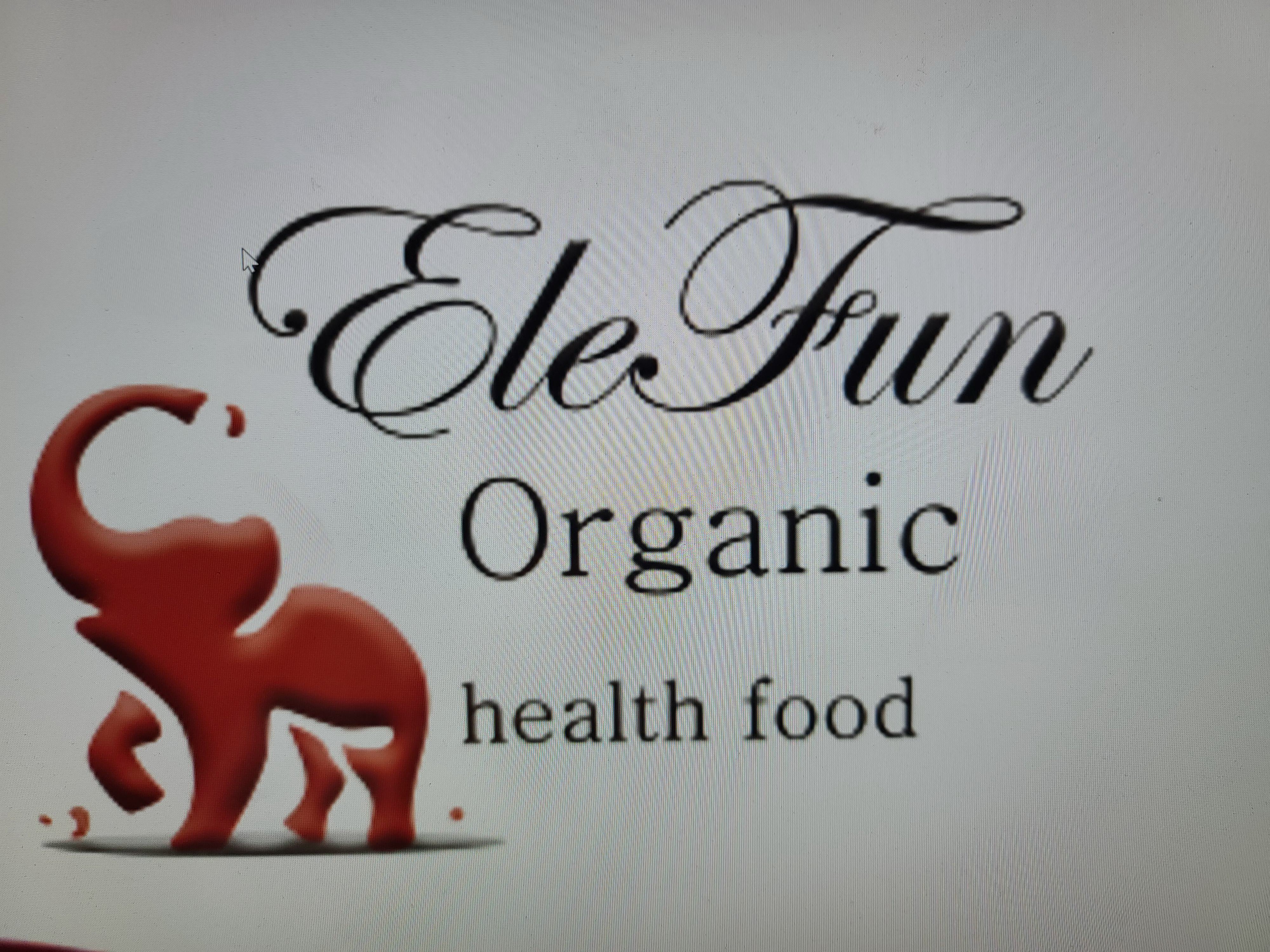 Trademark Logo ELEFUN