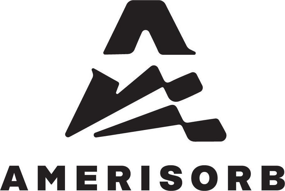  AMERISORB