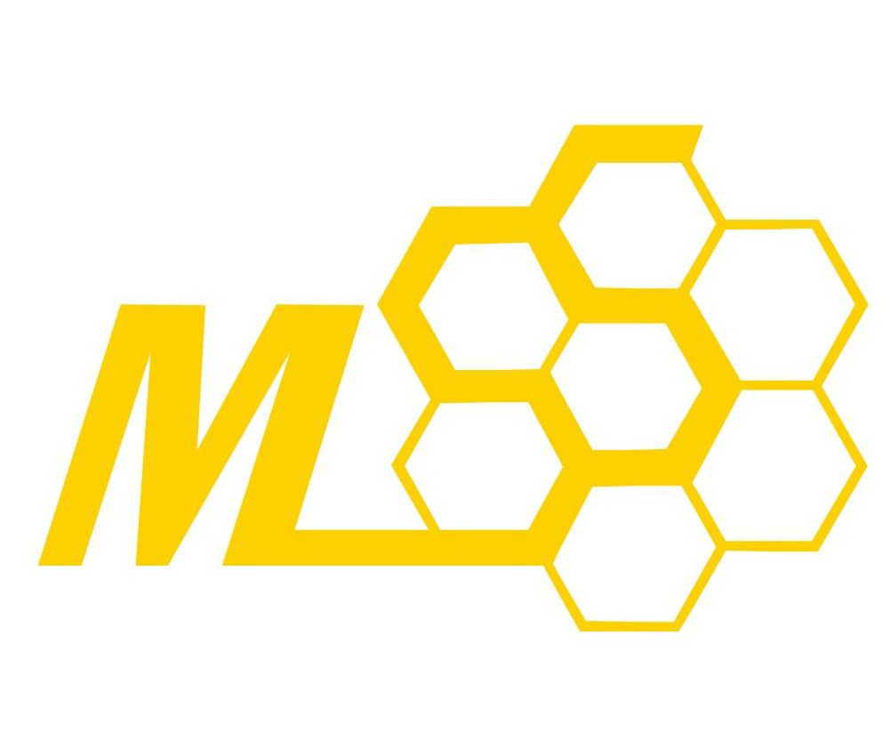 Trademark Logo MSS