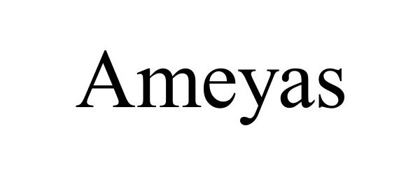  AMEYAS