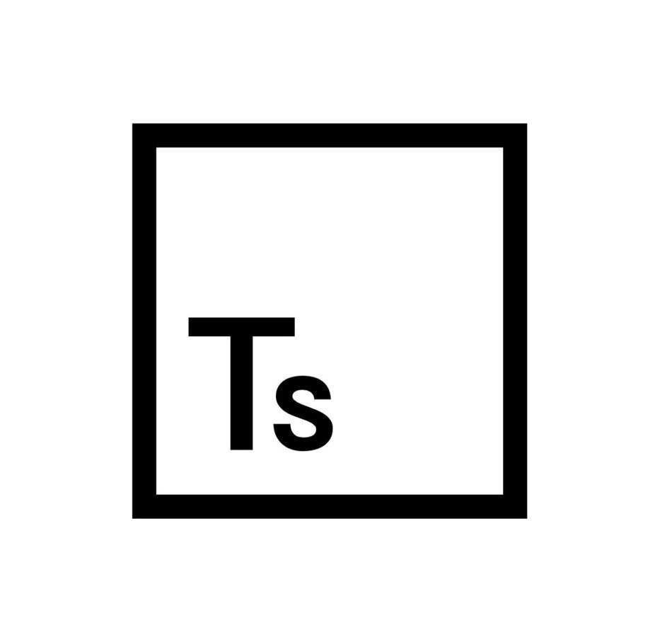 Trademark Logo TS