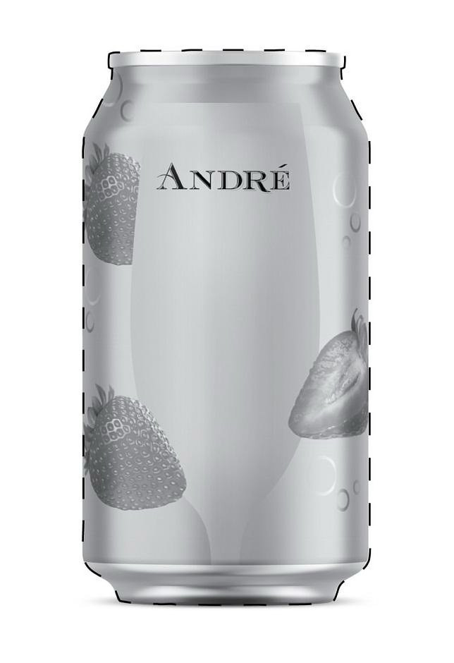 ANDRÃ