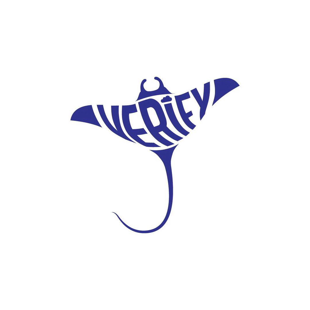 Trademark Logo VERIFY