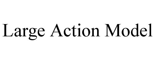  LARGE ACTION MODEL