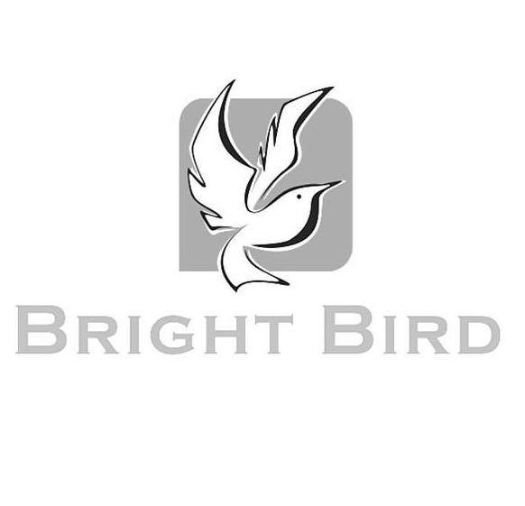 BRIGHT BIRD