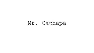  MR. CACHAPA