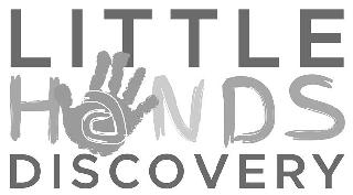  LITTLE HANDS DISCOVERY