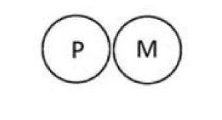 Trademark Logo PM