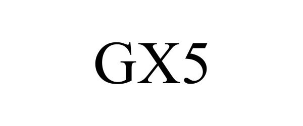  GX5