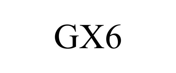  GX6